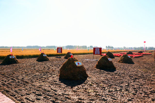 1539420039418802.jpg 微信圖片_20181013164024.jpg