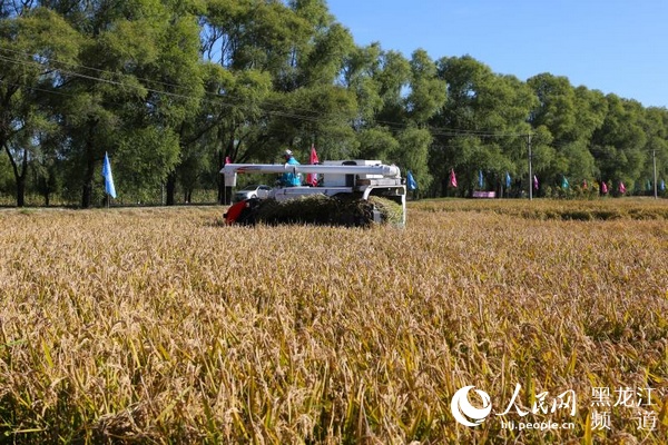 1539420330490640.jpg 微信圖片_20181013164656.jpg